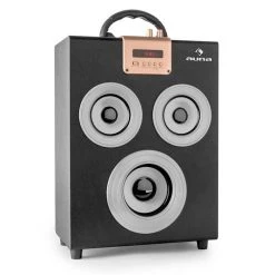 Auna Multimedia Central Park Enceintes Bluetooth 2.1