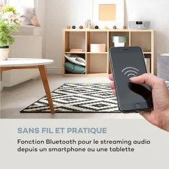 Auna Radios Numériques Micro-chaîne Stéréo Harvard DAB+ -Audio-et-HiFi Soldes 10031950 fr 0004 logo