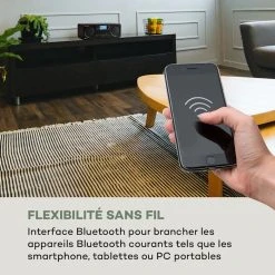 Auna Radios Internet Wifi Worldwide CD Radio Internet -Audio-et-HiFi Soldes 10032755 fr 0006 logo