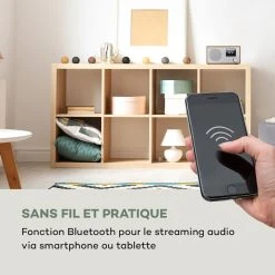 Auna Radios Internet Wifi Silver Star Mini Radio Internet 12 Auna Radios Internet Wifi Silver Star Mini Radio Internet -Audio-et-HiFi Soldes 10032791 fr 0005 logo