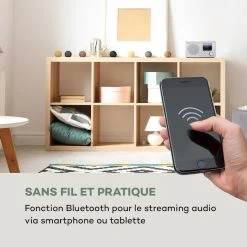 Auna Radios Internet Wifi Silver Star Mini Radio Internet -Audio-et-HiFi Soldes 10032792 fr 0005 logo