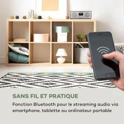 Auna Radios Internet Wifi Silver Star Stereo Radio Internet 12 Auna Radios Internet Wifi Silver Star Stereo Radio Internet -Audio-et-HiFi Soldes 10032916 fr 0005 logo