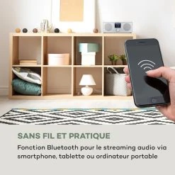 Auna Radios Internet Wifi Silver Star Stereo Radio Internet 12 Auna Radios Internet Wifi Silver Star Stereo Radio Internet -Audio-et-HiFi Soldes 10032917 fr 0005 logo