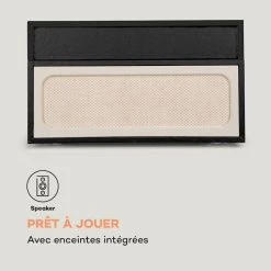 Auna Multimedia Sarah Ann Platine Vinyle -Audio-et-HiFi Soldes 10033175 fr 0006 logo