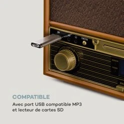 Auna Platines Retro Chaîne Stéréo Rétro Belle Epoque 1910 -Audio-et-HiFi Soldes 10033179 fr 0005 logo