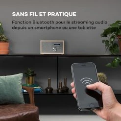 Auna Radios Numériques Ambient Radio DAB+/FM 10 Auna Radios Numériques Ambient Radio DAB+/FM -Audio-et-HiFi Soldes 10034900 fr 0003 logo