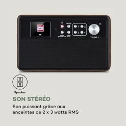 Auna Radios Numériques Nestor Radio DAB+ 13 Auna Radios Numériques Nestor Radio DAB+ -Audio-et-HiFi Soldes 10035369 fr 0006 logo