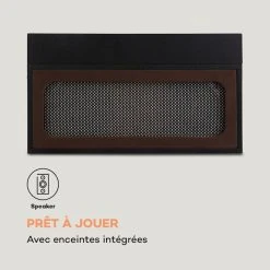 Auna Platines Retro Sarah Ann Platine Vinyle -Audio-et-HiFi Soldes 10035388 fr 0006 logo