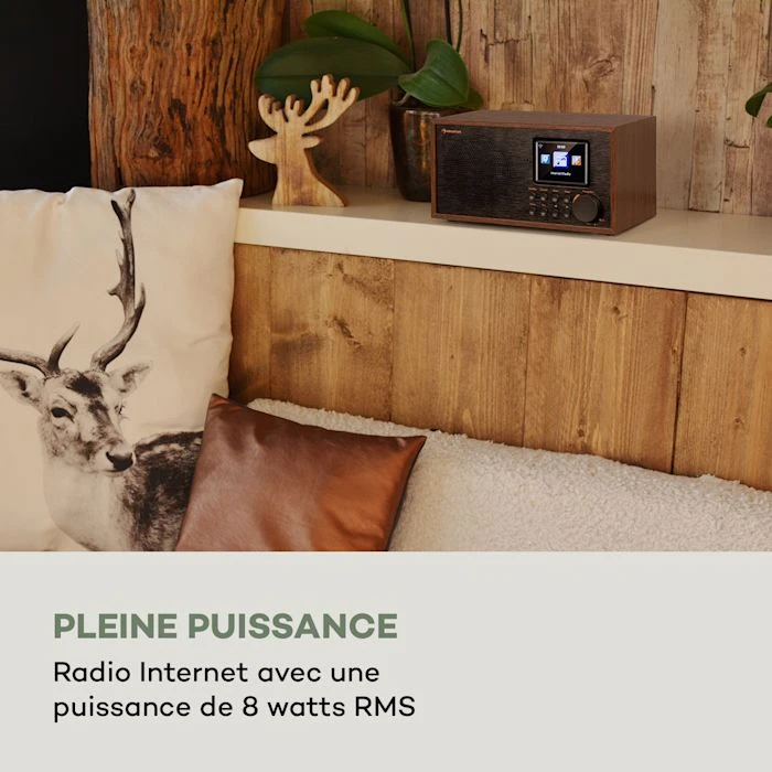 Auna Radios Internet Wifi Silver Star Mini Radio Internet Stéréo DAB+/FM 4 Auna Radios Internet Wifi Silver Star Mini Radio Internet Stéréo DAB+/FM – Image 2