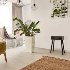 Auna Radios Numériques Lecteur CD-DAB Silver Star -Audio-et-HiFi Soldes 10038422 yy 0002 logo