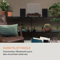 Auna Multimedia Platine Vinyle TT-Classic Light -Audio-et-HiFi Soldes 10038898 fr 0003 logo