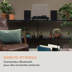 Auna Multimedia Platine Vinyle TT-Classic Light -Audio-et-HiFi Soldes 10038899 fr 0003 logo