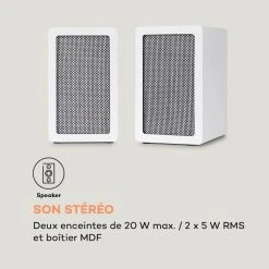 Auna Multimedia Platine Vinyle TT-Play SE -Audio-et-HiFi Soldes 10039902 fr 0003 logo